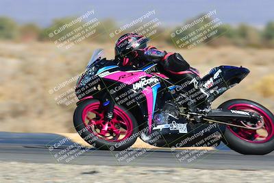 media/Feb-13-2022-SoCal Trackdays (Sun) [[c9210d39ca]]/Turn 16 (145pm)/